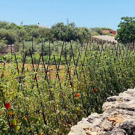 Holiday Casa La Martina Holiday home